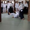 IMG_3062.jpg